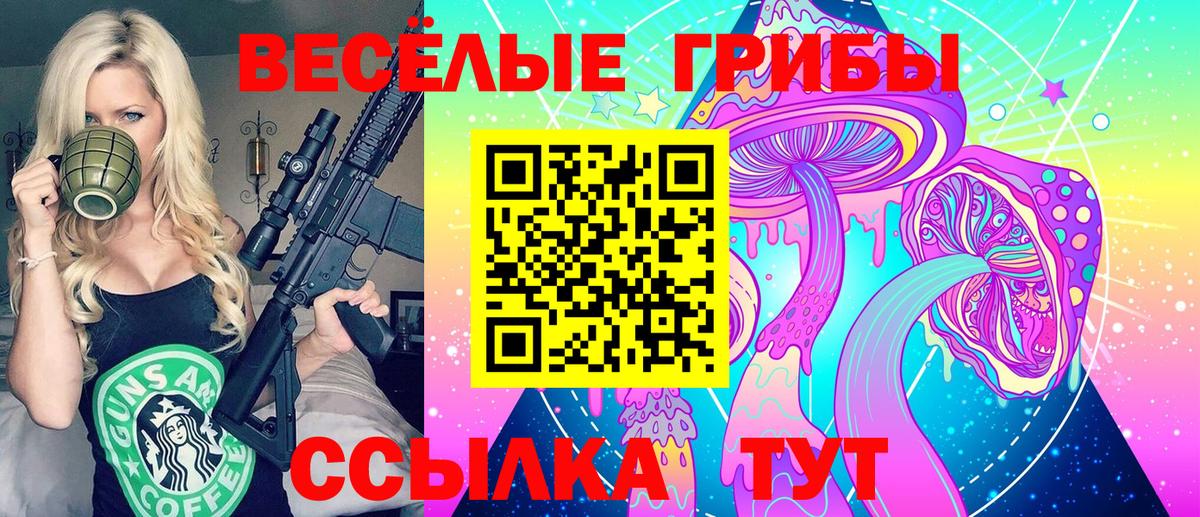 Псилоцибиновые грибы MAGIC MUSHROOMS Сокол