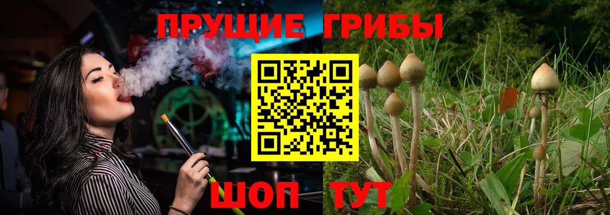 Галлюциногенные грибы Psilocybine cubensis  Вход с VPN  Сокол 